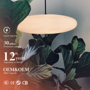 Luxury Customize Hardware Chandelier Villa Restaurant Clubhouse Home Office Led Pendant Lamp
