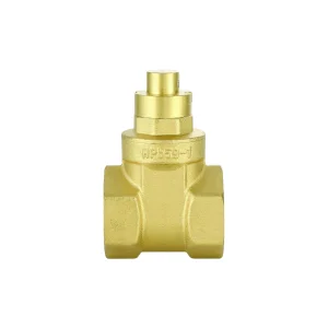 Brass Threaded Valves