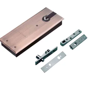 Excellent Quality Double Cylinder Automatic Glass Door Floor Spring