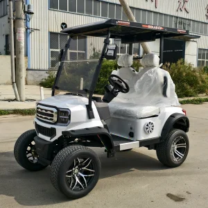 SEEWORLD New Energy Off-road Golf Cart Lithium Battery Solar Panel 4KW AC Motor 3-4 Seater Electric High Strength Carbon Steel