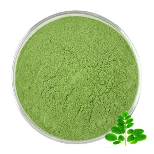 Moringa Leaf Extract Powder Moringa Oleifera Extract Moringa Leaf Powder for Health Care Product
