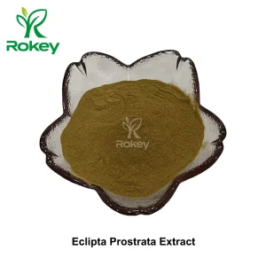 Premium Herbal Supplement for Liver &amp; Hair Health Eclipta Prostrata Extract