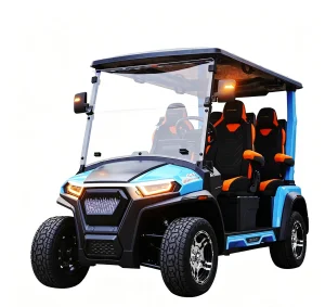 D202 Customized Golf Cart 4 Seater
