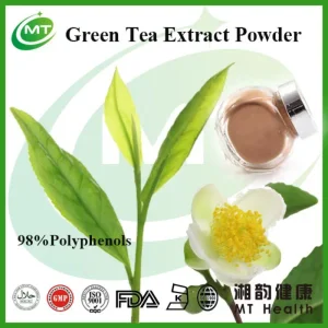 Green Tea Extract Factory Price