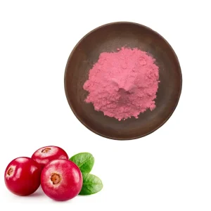 Wholesale Pure & Concentrated Cranberry Fruit Bulk Powder for Drink Factories, Exporters