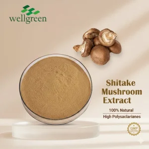 Extrato em Pó de Cogumelo Shiitake Natural Lentinano 30% 50% Aditivo Alimentar Imunológico para Aves e Gado