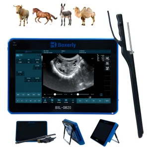 Bxl-Db20 Máquina de ultrasonido para caballos y ganado con Doppler colorido