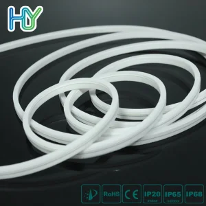 China Manufactory Neon