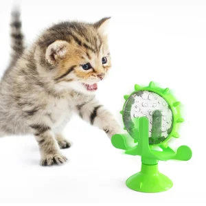 Interactive Feeder Toy