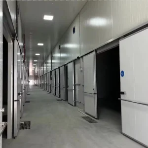 Meat/Vegetables/Fish/Fruit/Banana Walk in Cooler Cold Storage Room with Compressor Refrigeration Unit