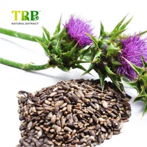 Wholesale Milk Thistle Extract Suppliers