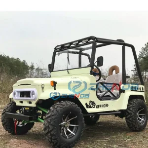 Multifunctional 4x4 Mini Jeep