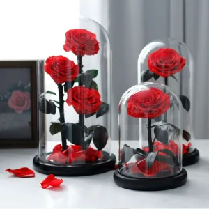Preserved Roses in Glass Dome