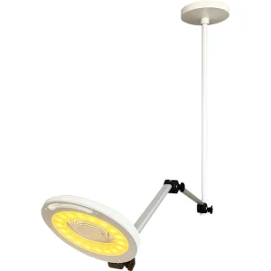 Adjustable 5X 10X Beauty Lamp