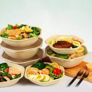 Biodegradable Sugarcane Lunch Box