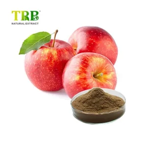 China  Apple Extract Phloridzin  Manufacturers, Suppliers