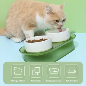 10 Degree Tilted Angle Pet Bowl Anti Overflow