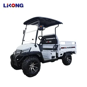 4 Wheeler Buggy Car Electric Golf Cart with Cargo Box for Sale