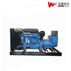 Gerador de Potência Diesel Prime 200kw com Motor Yuchai Yc6MK350L-D20 Gerador Brushless de Cobre Completo Marathon Montagem Wokang para Uso de Emergência