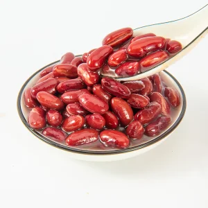 Frijoles rojos enlatados / frijoles al horno en salsa de tomate