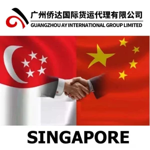 DDU Door to Door LCL Shipping Agent From China to Singapore Container by Sea, It Takes About 3 Weeks