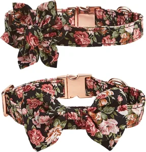 Floral Pet Collar