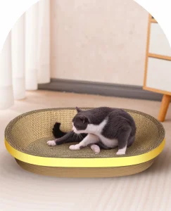 Cats Animals Customized Hf-Pet 55X35X8 China Catnip Toys for Toy with Good Service