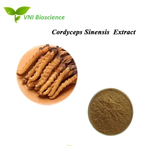 Cordyceps Sinensis