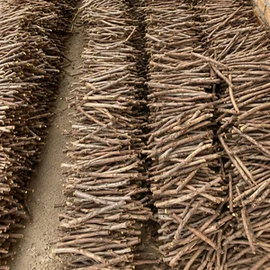 Natural Liquorice Root Sticks