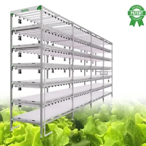 Vertical Hydroponic System