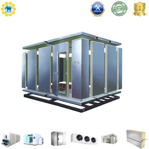 Whole Milk Fresh Fruit Importers Cold Storage Chain Cooler Chiller Equipment