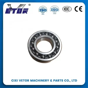 China The 1205 Self-Aligning Ball Bearing