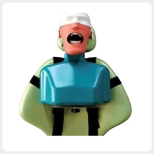 Universal Dental Phantom Head Training Mannequin Compatible with Nissin Frasaco Kilgore