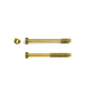 Orthopedic Cannulated Locking