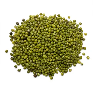 Bulk Dried Vigna Green Mung Beans Uzbekistan