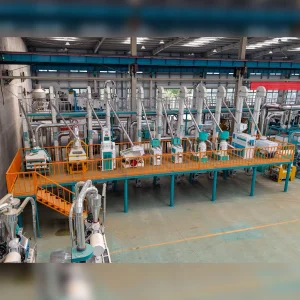 50 Toneladas Por Día Conjunto Completo Planta de Molienda de Arroz Equipo Mini Molino de Arroz