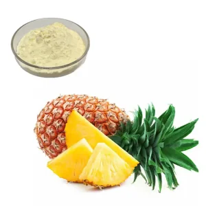 Premium Spray Dried Pineapple Powder