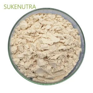 Fava Bean Protein Powder Concentrate/Isolate for Plant-Based Meat, Vegan Food and Sports Nutrition