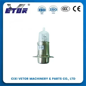 6V Motorcycle LED Headlight Bulb