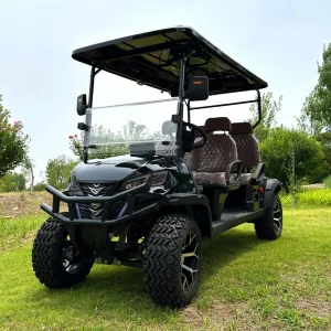 Four-Seater Electric Golf Cart