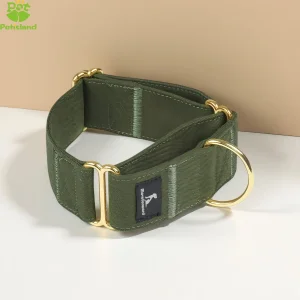 Coleira de Cão Durável de Metal Premium