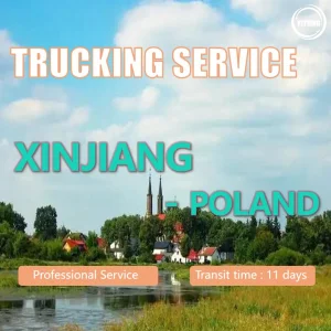 Global Shipping Agents DDP Services Shipping Agent Cargo Agent Freight Sea Freight Freight Forwarder Trucking Freight From Shenzhen to Poland Drop Shipping