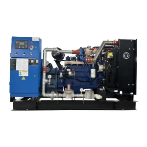 20KW 30KW 50KW 100KW 150KW 200KW 300KW 400KW 500KW Natural Gas Biogas CNG LNG Methane Generator CHP Biogas Purification