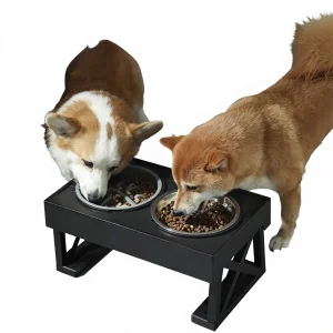 Stainless Steel Adjustable Elevated Pet Bowl