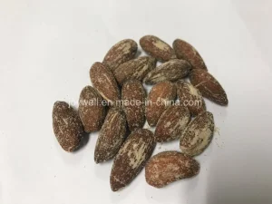 Amêndoas Torradas com Sal