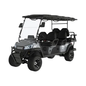 Low Speed Electric Buggy