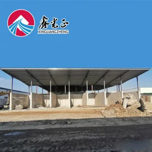 Algeria Q355b Warehouse Steel Structure Hangar Ceramic Factory Prefabricated Building