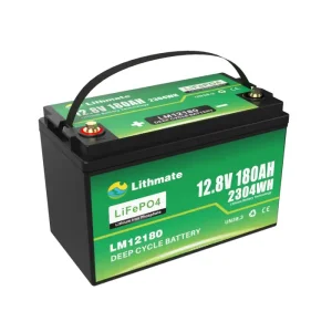 Group 31 Marine Battery