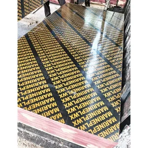 Black Poplar Marine Plywood