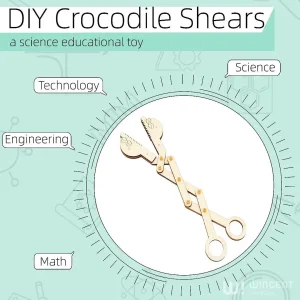 Los Kits de Experimentos Científicos Corte de Cocodrilo Herramientas de DIY de STEM Juguetes de Madera